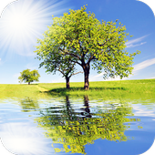 Photo Mirror Editor icon