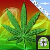 GO Locker Theme WEED GANJA on 9Apps