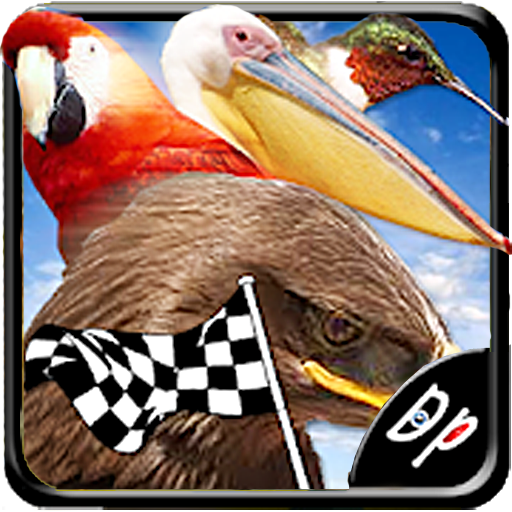 Bird Race 3D icon