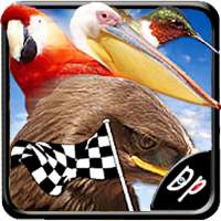 Bird Race 3D