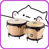 Bongo Cat icon