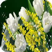 3D Flower Backround Wallpapers icon