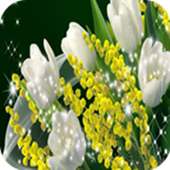 3D Flower Backround Wallpapers on 9Apps