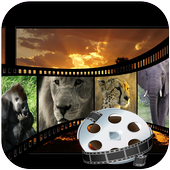 edit photo to video free app icon