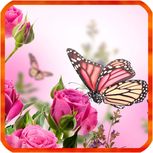 Butterflies Live Wallpaper icon