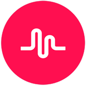TikTok Lite icon