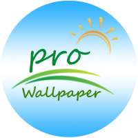 Pro Wallpaper HD on 9Apps