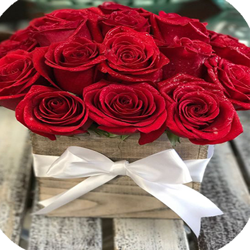 Pictures of Roses icon