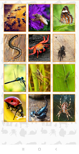 Animal Puzzle Game screenshot 3