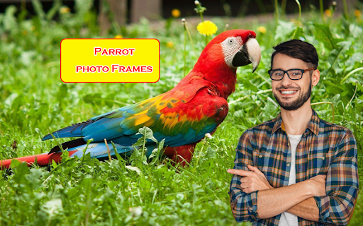 Parrot Photo Frames screenshot 6