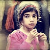 Don Babie Wallpapers icon