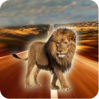 Lion Wallpapers HD on 9Apps