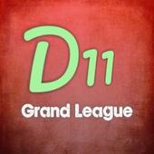 Dream11 Grand League Team  Cricket icon