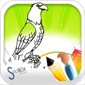 Bird Coloring Book icon