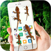 Gecko on Screen Funny Joke icon