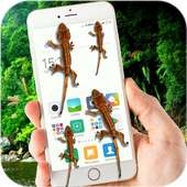 Gecko on Screen Funny Joke