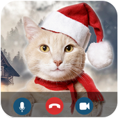 cat fack video call icon