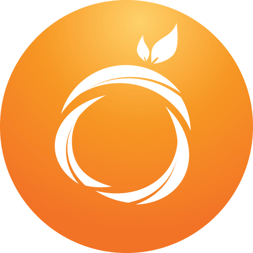 Orange Control icon