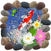 Natural Koi Fish Theme icon
