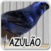 Songs of birds from Brazil icon