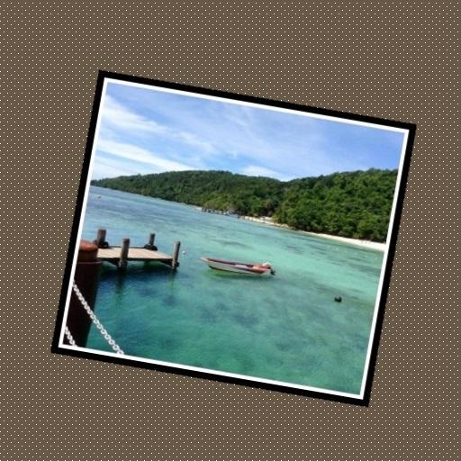 Photo Widget + أيقونة