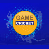 IPL Cricket Game icon