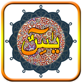 Yasin MP3 icon