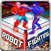 Real Robot Ring Fighting 2017