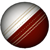 3D Cricket Ball icon