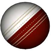3D Cricket Ball