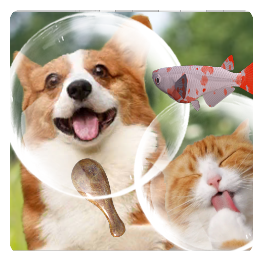 Pet Bubble icon