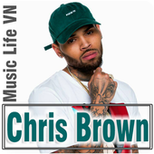 Chris Brown - Album Offline Music icon