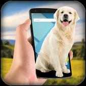 Dog On Screen on 9Apps