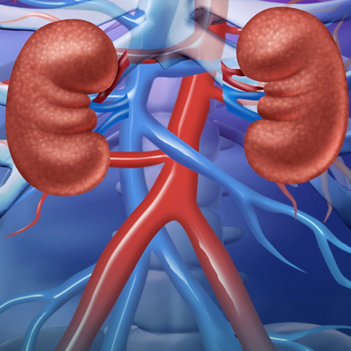 Renal System icon