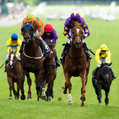 Horse Racing 3D icon