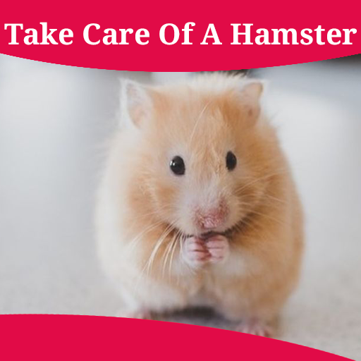 How To Take Care Of A Hamster icon