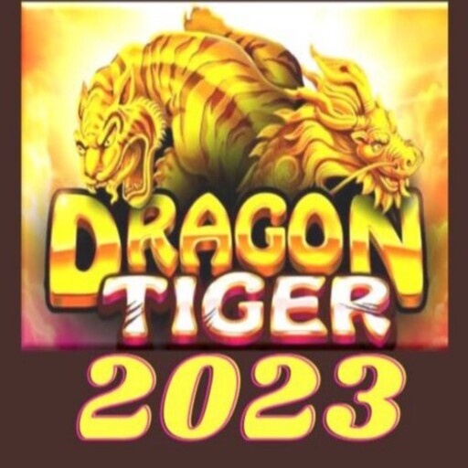 Dragon Tiger Master icon