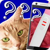 Pregnancy Test Cat Prank icon