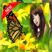 Butterfly Photo frame icon