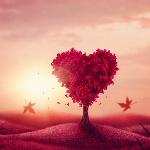 Love Tree Wallpapers أيقونة
