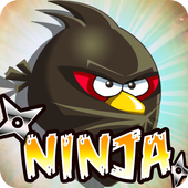 Angry Ninja Diet icon
