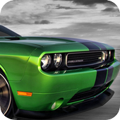 Chasing Speed Racers: C.S.R. icon