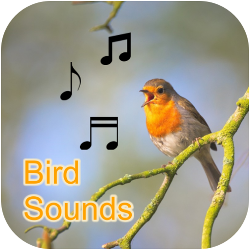 Bird Calls, Sounds, &amp; Ringtones (Offline) icon