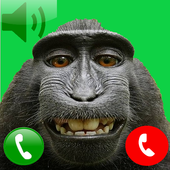 Monkey call أيقونة
