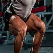 Leg Workouts - 30  exercises on 9Apps