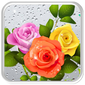 Rosy Rain Drops Live Wallpaper icon