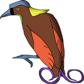 Bird Of Paradise icon