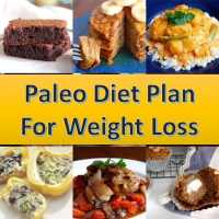 Paleo Diet Plan For Weight Loss on 9Apps