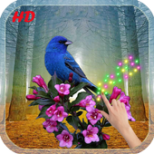 Moving Bird Live Wallpaper icon