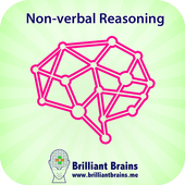 Train Your Brain NVR Lite icon